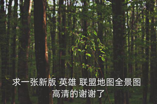 求一張新版 英雄 聯盟地圖全景圖 高清的謝謝了
