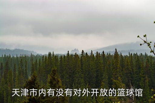 天津市內(nèi)有沒有對外開放的籃球館