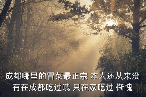 成都哪里的冒菜最正宗 本人還從來沒有在成都吃過哦 只在家吃過 慚愧