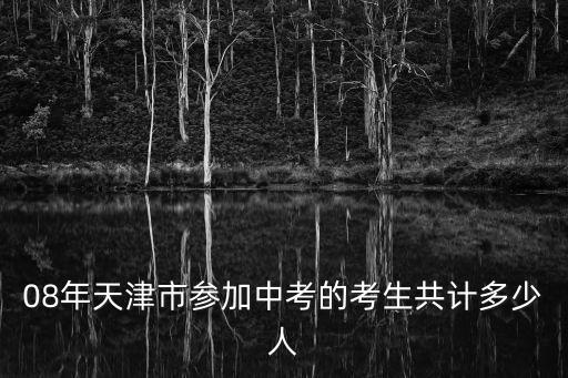 08年天津市參加中考的考生共計多少人