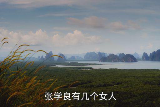  張學良有幾個女人