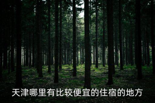天津市龍豐路有沒有便宜的賓館，天津市內哪里有比較便宜的小旅館