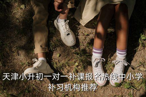 天津小升初一對一補課報名熱線中小學補習機構推薦