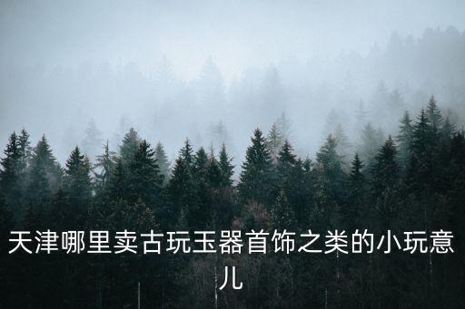 天津哪里賣古玩玉器首飾之類的小玩意兒