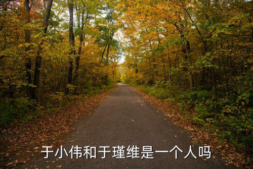 于小偉和于瑾維是一個人嗎