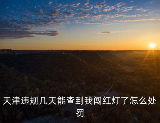 天津違規(guī)幾天能查到我闖紅燈了怎么處罰