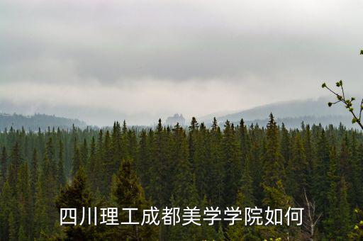 四川理工成都美學(xué)學(xué)院如何