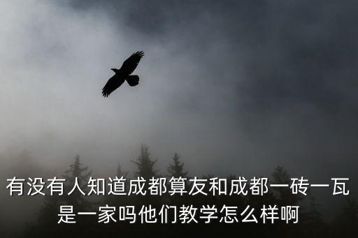 有沒有人知道成都算友和成都一磚一瓦是一家嗎他們教學怎么樣啊