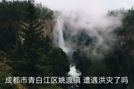 成都市青白江區姚渡鎮 遭遇洪災了嗎