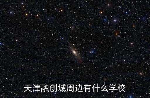 天津融創(chuàng)城周邊有什么學校