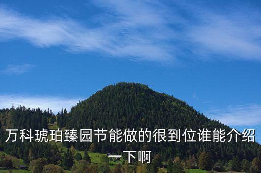 萬(wàn)科琥珀臻園節(jié)能做的很到位誰(shuí)能介紹一下啊