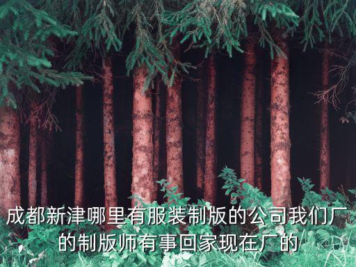 成都新津哪里有服裝制版的公司我們廠的制版師有事回家現(xiàn)在廠的