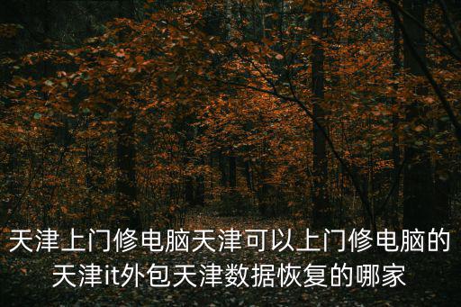 天津上門修電腦天津可以上門修電腦的天津it外包天津數據恢復的哪家