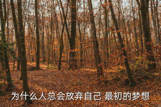 最初夢想,最初的夢想永遠不會變現在眼前