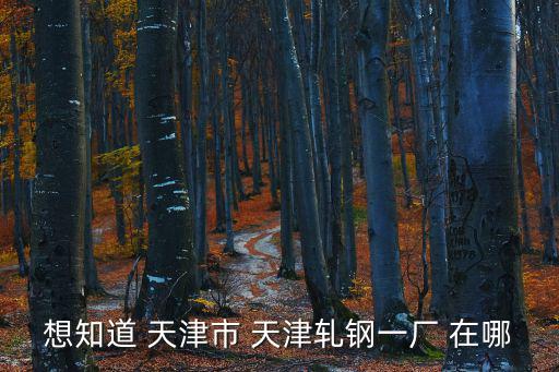 想知道 天津市 天津軋鋼一廠 在哪