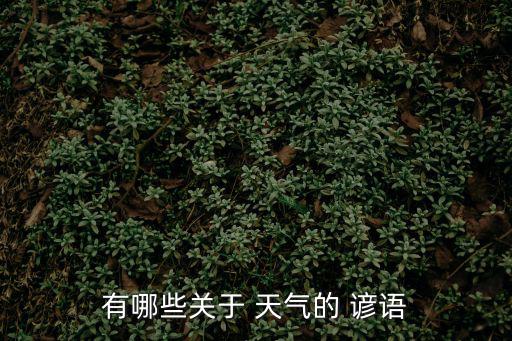 天氣有關的諺語,下個星期二的預測