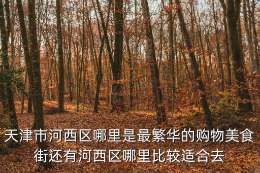 天津市河西區哪里是最繁華的購物美食街還有河西區哪里比較適合去