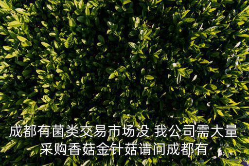 成都有菌類交易市場沒 我公司需大量采購香菇金針菇請問成都有