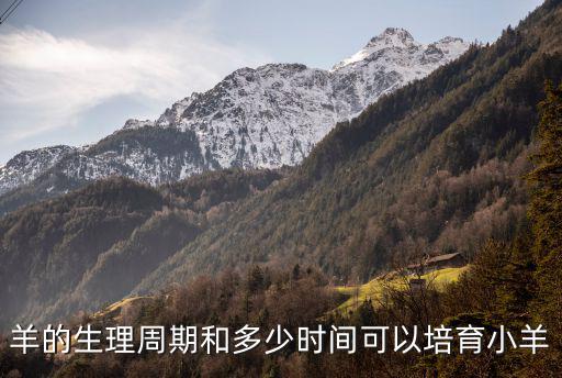 天津市振東信息技術有限公司，寧波鑫鑫鑫寅電氣有限公司怎么樣