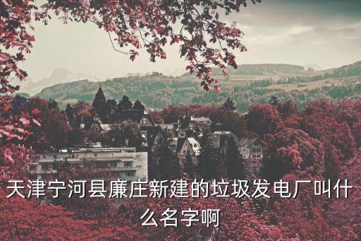 天津寧河縣廉莊新建的垃圾發電廠叫什么名字啊