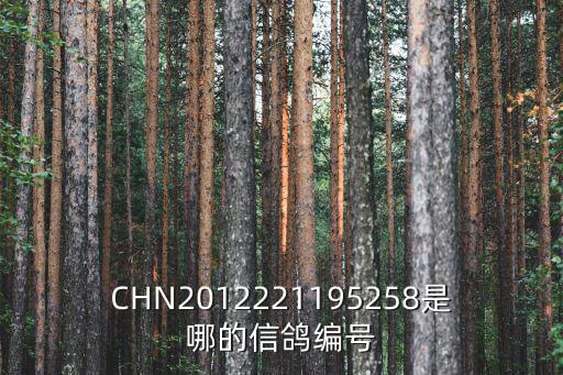 CHN2012221195258是哪的信鴿編號