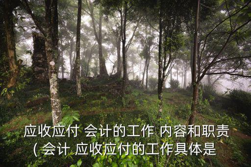  應收應付 會計的工作 內容和職責( 會計 應收應付的工作具體是
