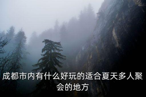 成都市內有什么好玩的適合夏天多人聚會的地方