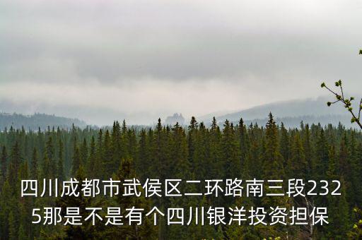 四川成都市武侯區二環路南三段2325那是不是有個四川銀洋投資擔保