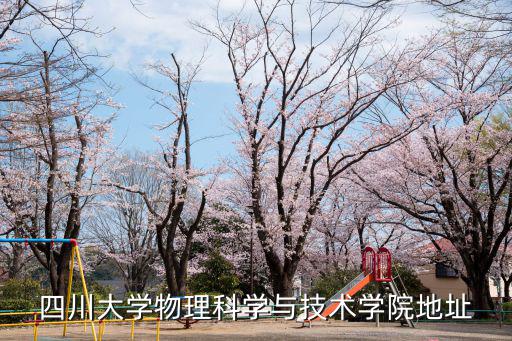 四川大學物理科學與技術學院地址