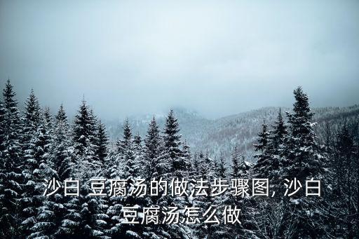 沙白豆腐湯,沙白魚丸湯第八集