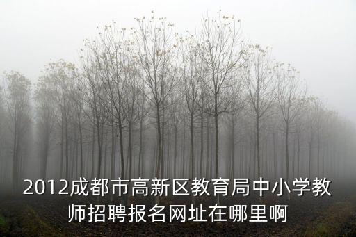 2012成都市高新區教育局中小學教師招聘報名網址在哪里啊