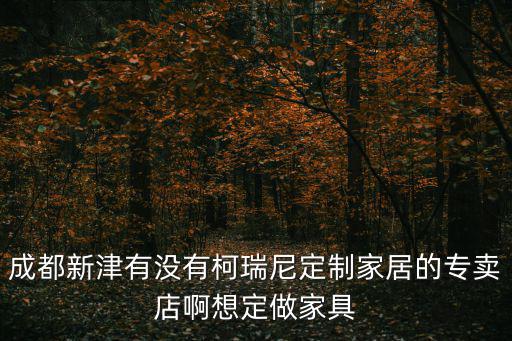 成都新津有沒有柯瑞尼定制家居的專賣店啊想定做家具