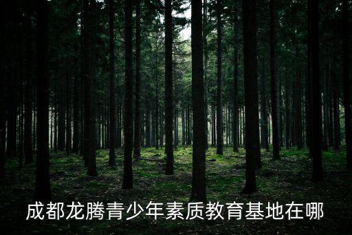 成都龍騰青少年素質教育基地在哪