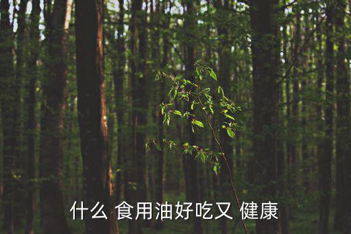 什么 食用油好吃又 健康