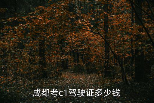 成都考c1駕駛證多少錢(qián)