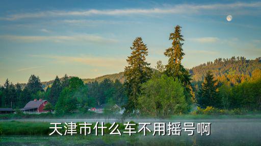 天津市什么車不用搖號(hào)啊