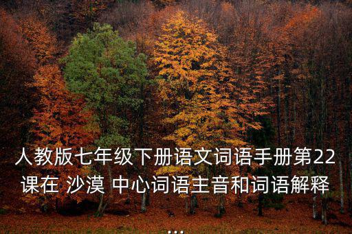 在沙漠中心,沙漠中心關鍵知識總結與講解