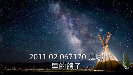 天津市元旭騰飛公棚，天津市職工信鴿協(xié)會在哪里