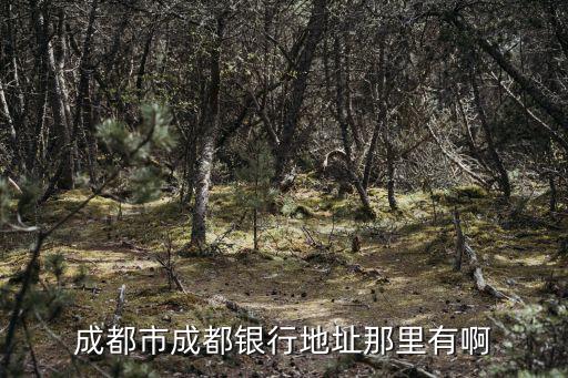 成都市成都銀行地址那里有啊