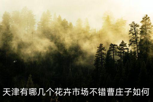 天津有哪幾個(gè)花卉市場(chǎng)不錯(cuò)曹莊子如何