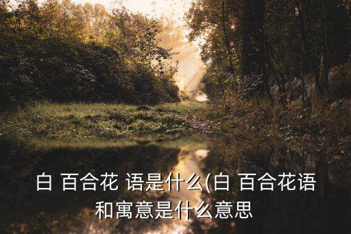 白 百合花 語是什么(白 百合花語和寓意是什么意思