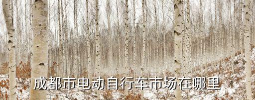 成都市電動自行車市場在哪里