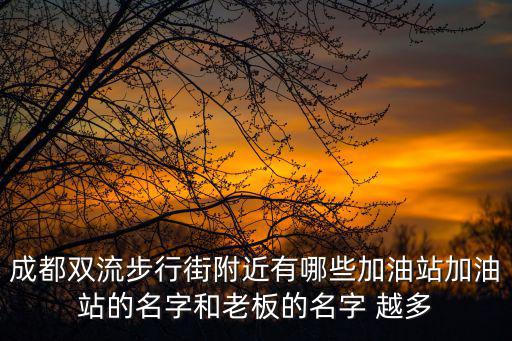 成都雙流步行街附近有哪些加油站加油站的名字和老板的名字 越多
