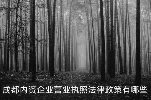 成都市公司注冊高管，成都內資企業營業執照法律政策有哪些