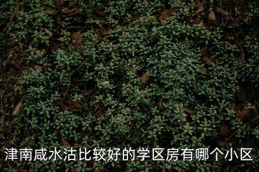 津南咸水沽比較好的學區房有哪個小區
