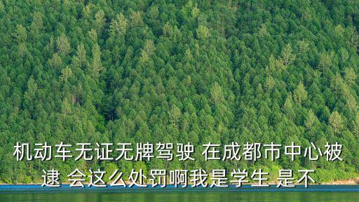 機動車無證無牌駕駛 在成都市中心被逮 會這么處罰啊我是學生 是不