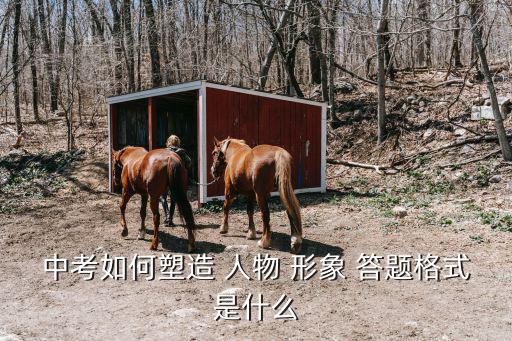 中考如何塑造 人物 形象 答題格式是什么