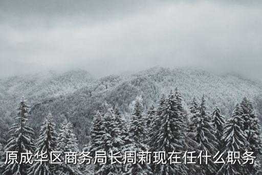 原成華區(qū)商務(wù)局長周莉現(xiàn)在任什么職務(wù)