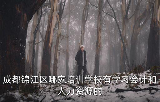 成都錦江區哪家培訓學校有學習會計和人力資源的