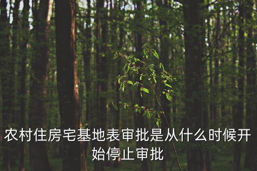 天津市哪一年停止辦理農村宅基地，農村宅基地使用權證是哪年開始發的